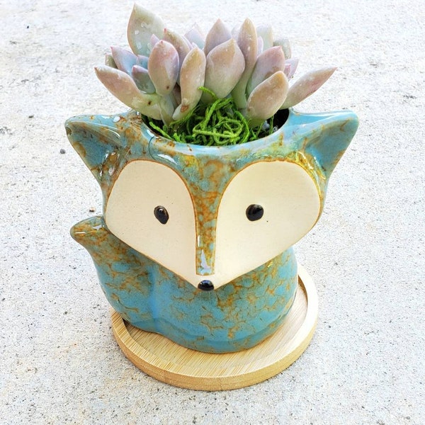 Cute turquoise/brown Fox animal planter pot with living succulent  ( birthday, gift)