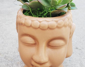 Ceramic Buddha head planter pot with real living succulent plant