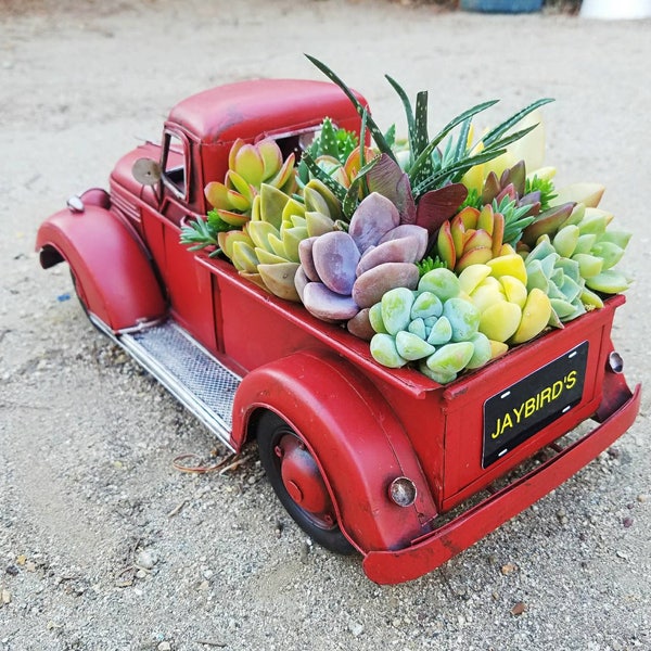 Unique red metal rustic old school farm truck filled with living succulents with customize license plate ( father, man cave, birthday, farm)