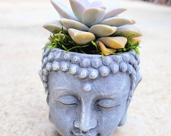 Terra Cotta Buddha Head Planter with Live Succulent