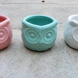 May include: Three ceramic owl-shaped planters in pink, light blue, and white.