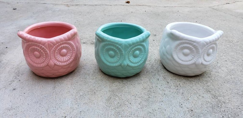 May include: Three ceramic owl-shaped planters in pink, light blue, and white.