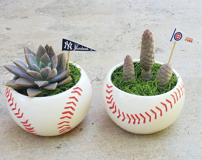 Unique Baseball fans lover ceramic  planter bowl pot  customize with your favorite team flag! Comes with living  succulent or cactus!