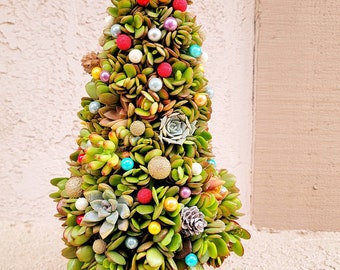 Unqiue one of a kind real living  Succulent Christmas tree with rustic pot