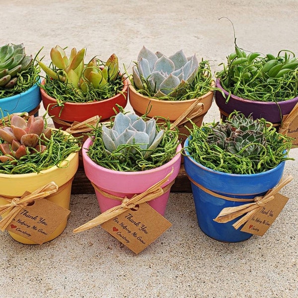 Super adorable hand painted small terra cotta pot with living succulent party favors ( baby shower, wedding, birthday, baptism, business)