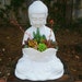 Owner of <a href='https://www.etsy.com/shop/RileysOasis?ref=l2-about-shopname&from_page=listing' class='wt-text-link'>RileysOasis</a>