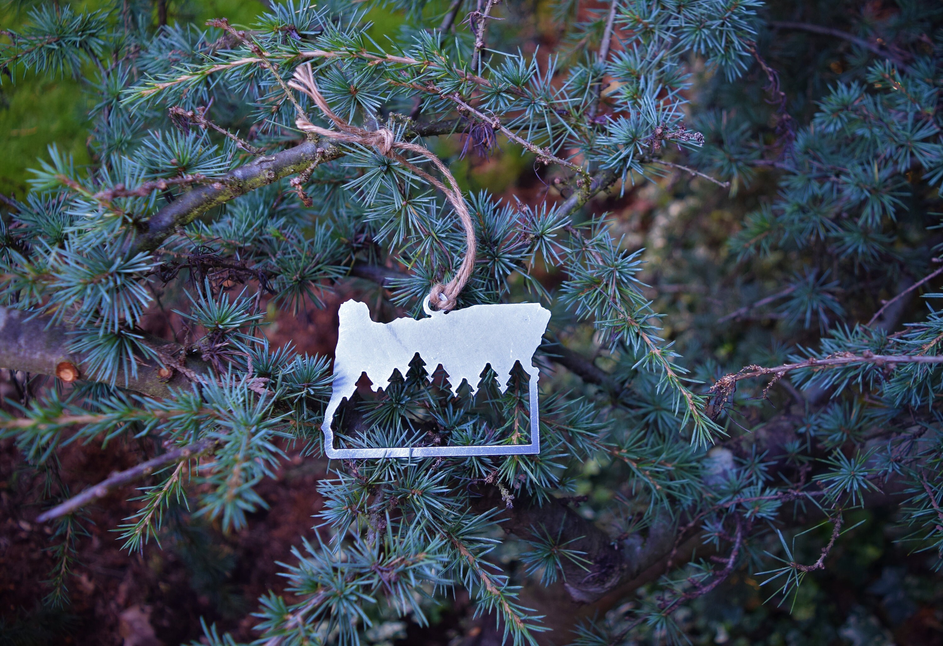 Oregon Forest Ornament | PNW Ornament | Outdoors Ornament | Christmas…