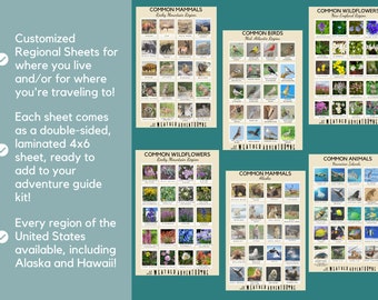 Regional Sheets ADD ON - Add-on Sheets for Adventure Kits