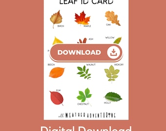 Leaf Identification Card-Digital Download- Fall Activity
