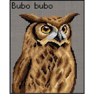 May include: Cross-stitch pattern of a detailed owl with brown and tan feathers, yellow eyes, and a white and black beak. The text "Bubo bubo" is at the top. The owl is centered against a gray background.