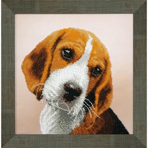 May include: A close-up portrait of a beagle puppy with brown, white and black fur. The puppy is looking directly at the viewer with a curious expression.