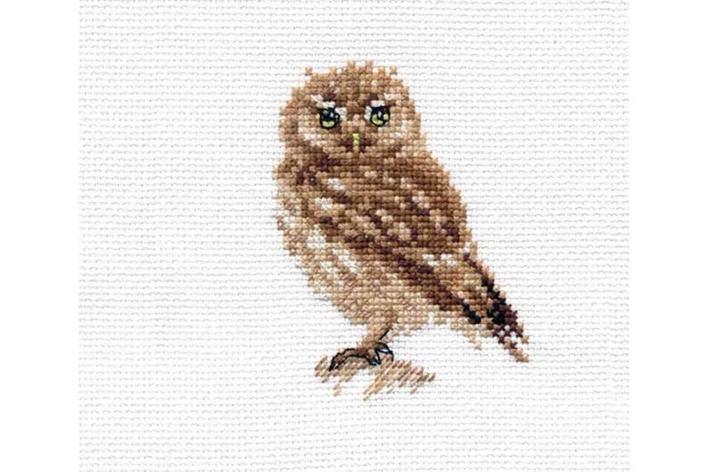 729 Cross Stitch Kit Owl dream art