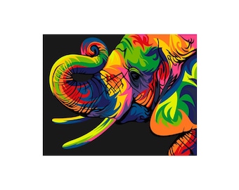 Paint by numbers kit Rainbow Elephant