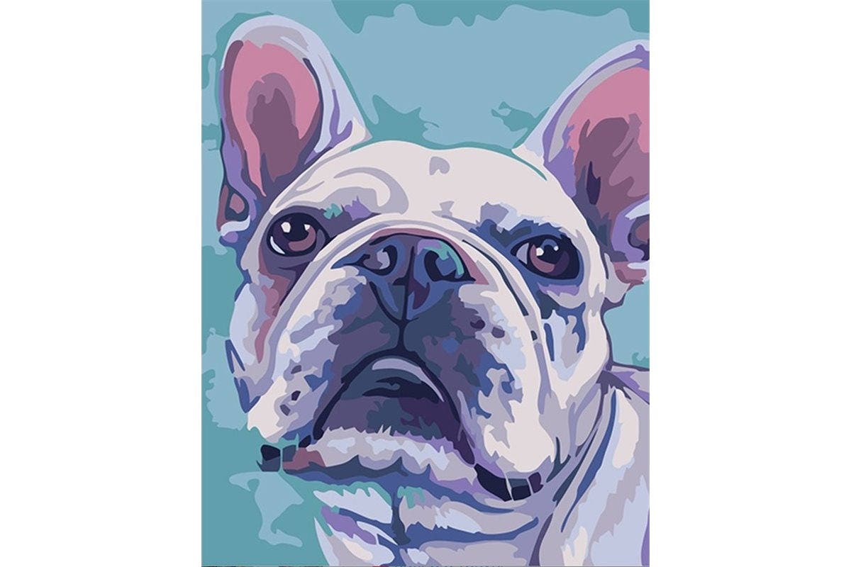 Paint by numbers kit BULLDOG Etsy