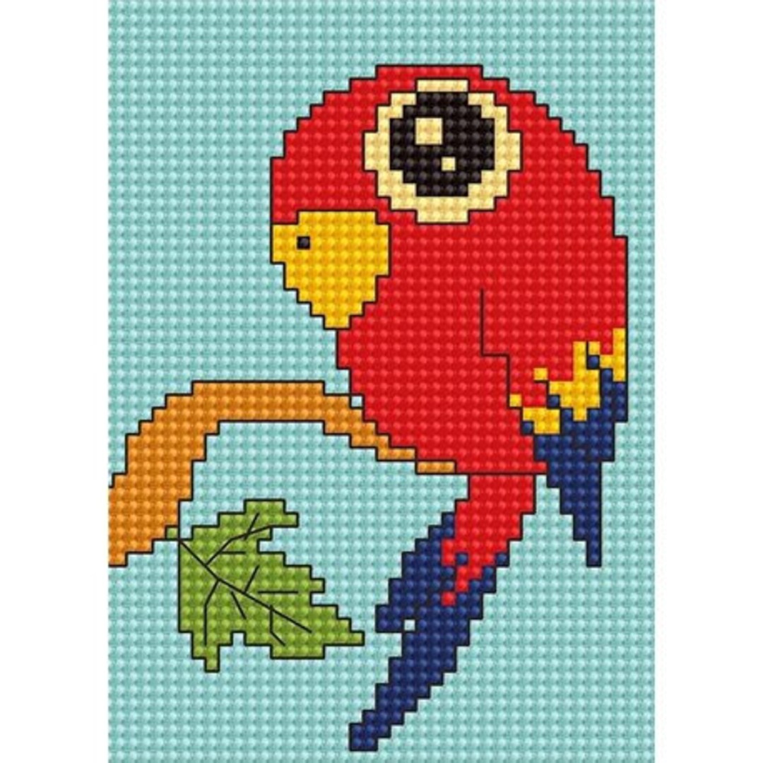 Kit Punto Croce Colibrì Per Principianti - Schemi Prestampati, 36x36 Cm, Completo Di Filo E Aghi - Foto 13