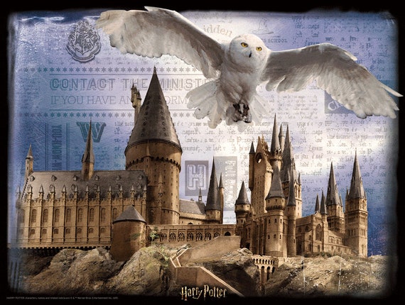 graven lava horizon Harry Potter / HOGWARTS EN HEDWIG Prime 3D-puzzel 500 stukjes - Etsy  Nederland