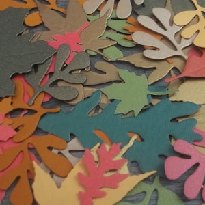 Foglie autunnali fustellate per biglietti di auguri, scrapbooking, lavori di carta, tecniche miste FINE LINEA Selezione casuale di colore, tipo di foglia e dimensione