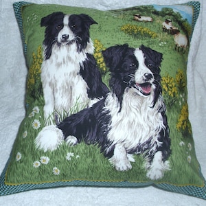 cuscinoBorder Collie cani da pastore in un campo con cuscino di pecore