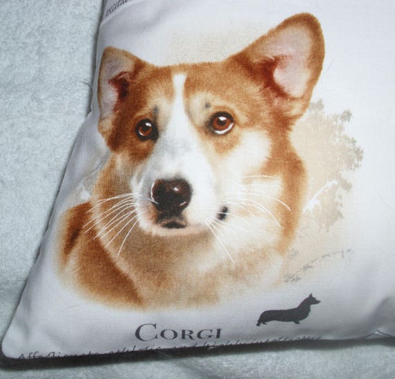 Shetland Sheepdog Red Long Haired Dachshund Corgi And Etsy