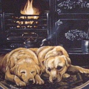 Pu&ograve; includere: Due golden retriever dormono davanti a un camino. I cani sono rannicchiati insieme, con la testa appoggiata sul pavimento. Il camino &egrave; in mattoni e ha un fuoco acceso al suo interno. I cani si trovano in un ambiente accogliente e confortevole.