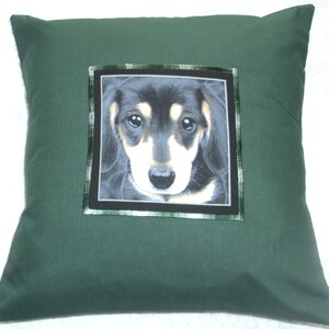 Dachshund puppy portrait cushion pillow