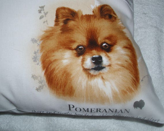 Shetland Sheepdog Red Long Haired Dachshund Corgi And Etsy