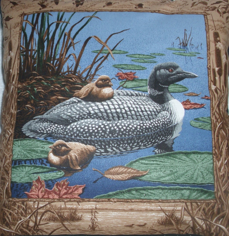Loon with chicks on a lake cushion
