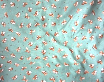 Squirrel Nutkin on green quilt