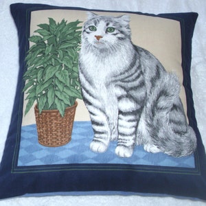 Schöne grau-getigerte Katze auf einem Tisch sitzend mit einem Topfpflanzenkissen