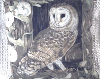 Beautiful Barn owl in barn window cushion ( very rare) pillow