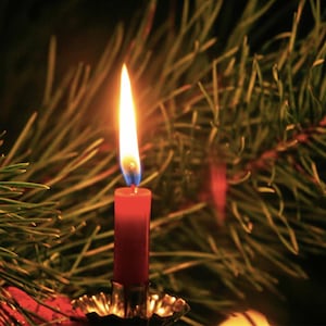 Velas para árbol de Navidad (paquete de 20): elegante decoración navideña (entrega con impuestos pagados a EE. UU.)