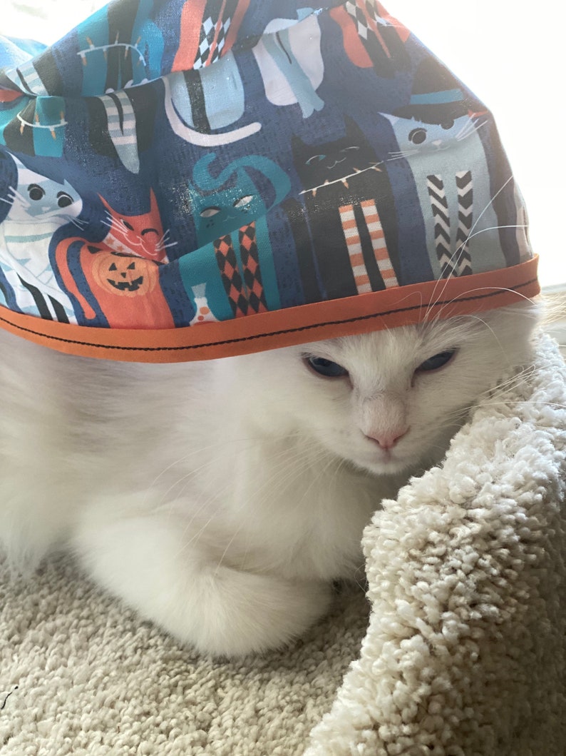 Halloween Cat Scrub Hat