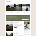 WordPress Themes