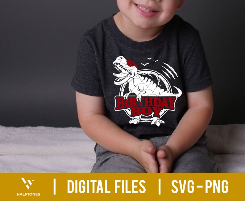 May include: A child wearing a dark grey t-shirt with a white dinosaur graphic and the text "Birthday Boy".