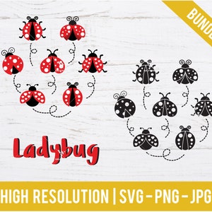pacchetto svg coccinella, svg coccinella, file coccinella per Cricut, clipart coccinella cita, stencil monogramma coccinella, Svg coccinella per bambini per Cricut