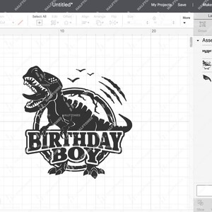 May include: Black and white silhouette of a dinosaur with the text "Birthday Boy" inside a circle. The dinosaur is roaring and has claws.