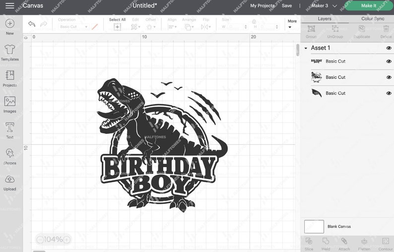 May include: Black and white silhouette of a dinosaur with the text "Birthday Boy" inside a circle. The dinosaur is roaring and has claws.