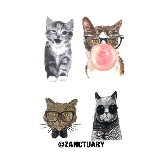 Chat Paralysie Temporaire Monsva49deosun