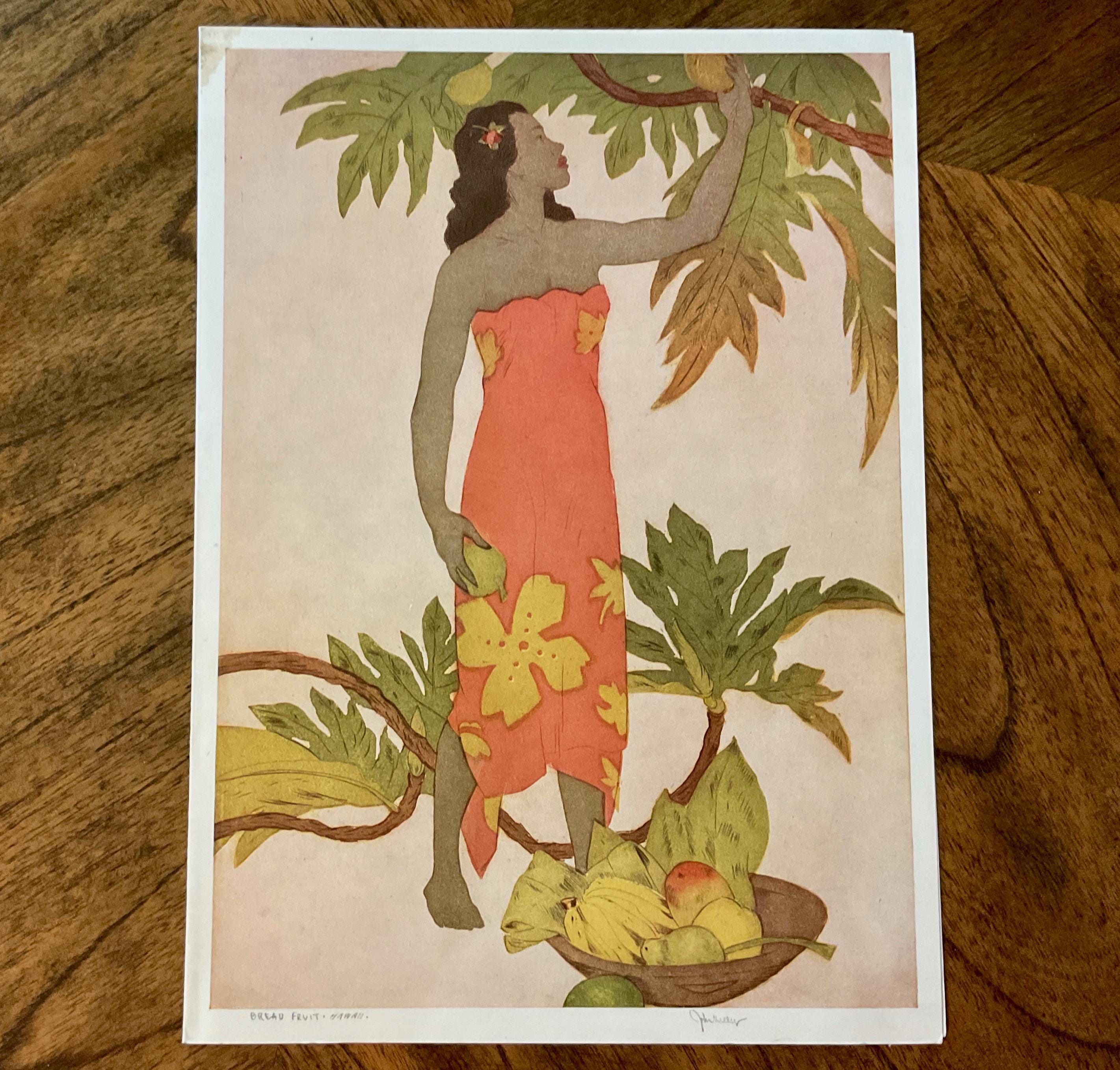 オールド ハワイアンold hawaiian　ヴィンテージ　ビンテージ　額装 40's メニュー柄ヴィンテージハワイアンシャツ - Baby doll -by