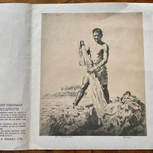 John Kelly Hawaii Art - Etsy