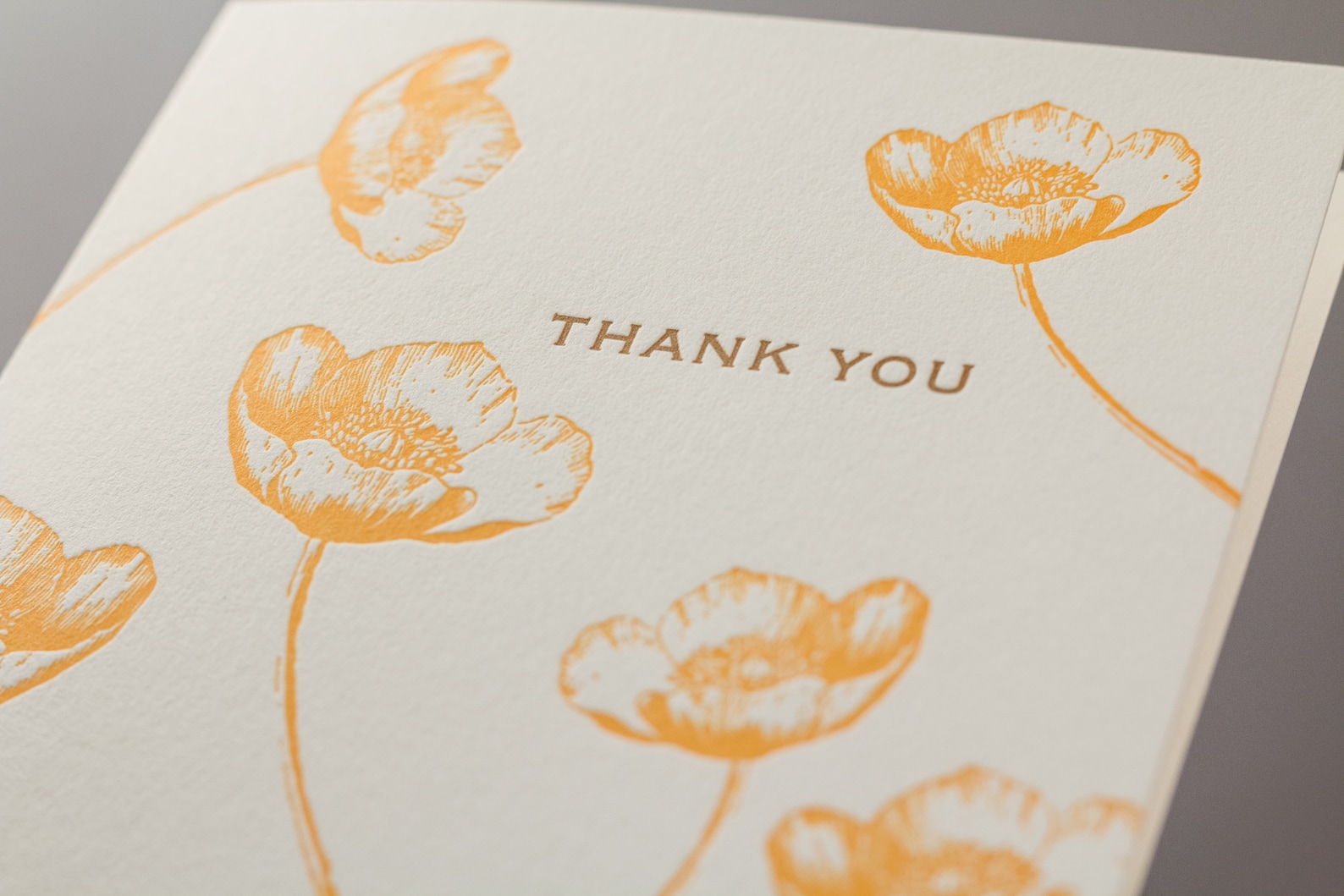 Buttercup Letterpress Thank You Cards - Set of 6 / Thank You Note Cards ...