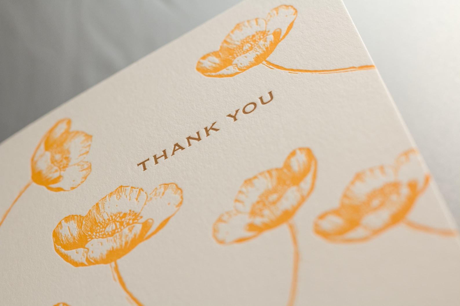 Buttercup Letterpress Thank You Cards - Set of 6 / Thank You Note Cards ...