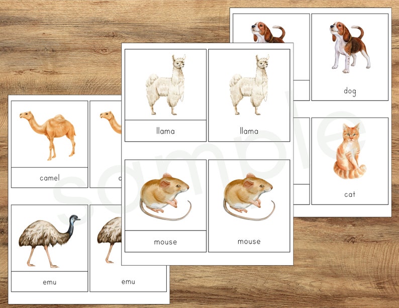 Farm Animal 3-part Cards, Prek Kindergarten Learning, Learning Resource ...