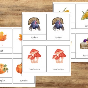 Tarjetas de otoño de 3 partes, Tarjetas de otoño de 3 partes, Recursos de aprendizaje de jardín de infantes preescolar, Actividades Montessori, Tarjetas de vocabulario de otoño