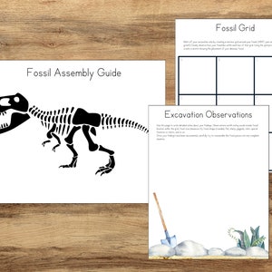 Dinosaur Excavation Activity, Dinosaur Crafts, Kids Paleontology, Dinosaur Resources, Dinosaur Worksheet, Dino Skeleton, Dinosaur Bones