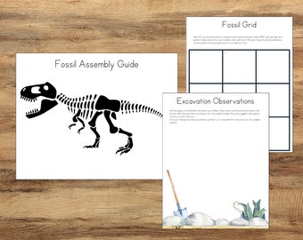 Dinosaur Excavation Activity, Dinosaur Crafts, Kids Paleontology, Dinosaur Resources, Dinosaur Worksheet, Dino Skeleton, Dinosaur Bones