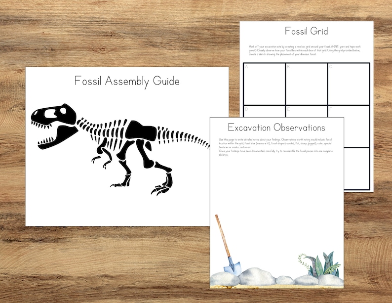 May include: A black and white dinosaur skeleton illustration on a white background. The image also includes a guide for assembling a fossil, a grid for recording observations, and a page for writing notes about the excavation.