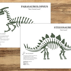 Dinosaur Fossil Building Activity, Dinosaur Crafts and Activities, Fossil Study, Kids Paleontology, Dinosaur Resources, Dinosaur Flashcards