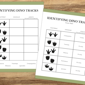 Tarjetas de identificación de huellas de dinosaurios, Actividad de dinosaurios, Actividad de paleontología para niños, Actividad educativa de dinosaurios, Tarjeta didáctica de dinosaurios, Hoja de trabajo de Dino