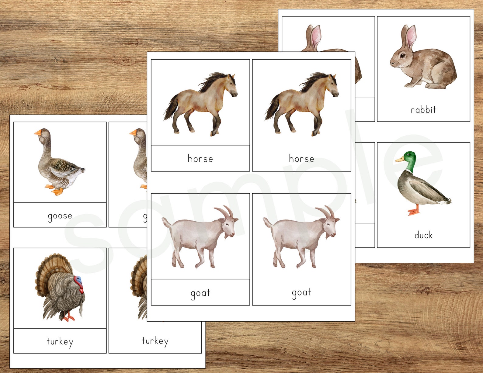 Farm Animal 3-part Cards, Prek Kindergarten Learning, Learning Resource ...